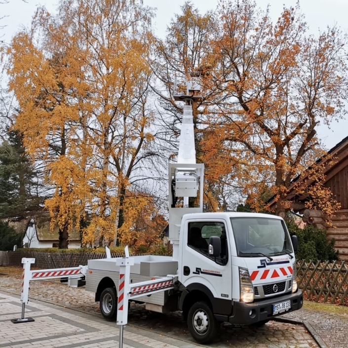 Baumfällarbeiten Usedom Baumfällarbeiten Usedom