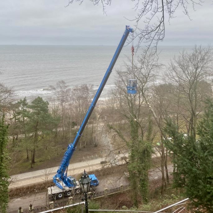 Baumfällarbeiten Usedom Heringsdorf Baumfällarbeiten Usedom Heringsdorf