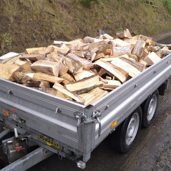 Kaminholz Brennholz Usedom Kaminholz Brennholz Usedom