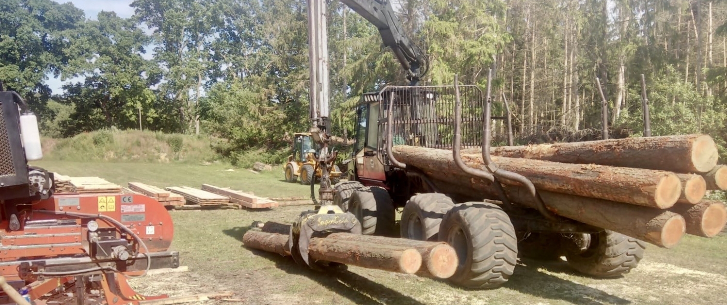 Mobiles Sägewerk Usedom Mobiles Sägewerk Usedom Abtransport Holz