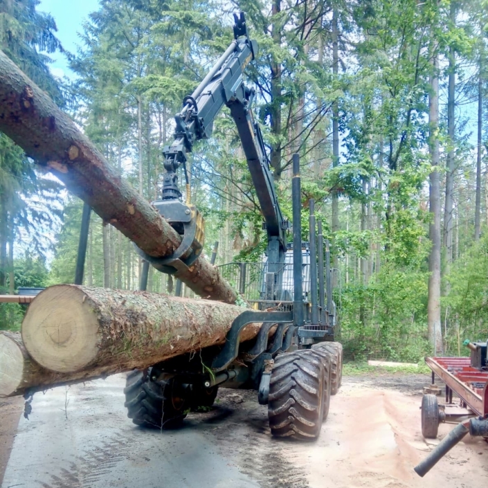 Holz sägen Sägewerk Usedom Wald Holz sägen Sägewerk Usedom Wald
